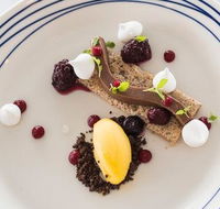 Wild Herring - Accommodation in Brisbane