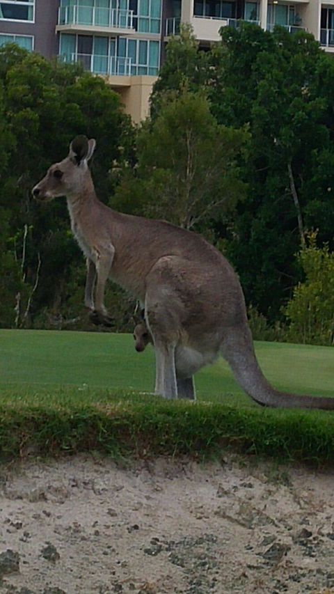 T On Course - Accommodation in Brisbane 3