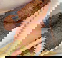 KFC - Accommodation in Brisbane