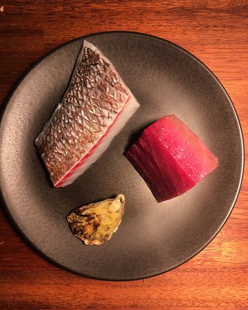 Yellowtail - Accommodation in Brisbane 0