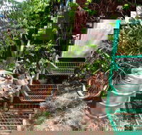 Larrimah Pink Panther Hotel - Accommodation in Brisbane