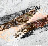 Stefano Lubiana Wines - Accommodation in Brisbane