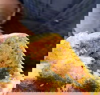 Brighton's Best Bakehouse - Accommodation in Brisbane