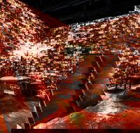 Hazards Brewing Coffee Co