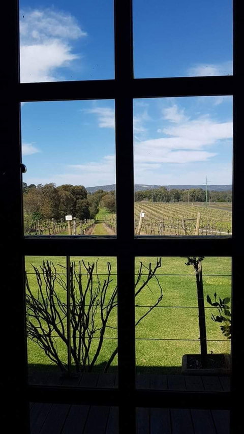 Black Swan Winery And Restaurant - Accommodation in Brisbane 2