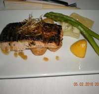 Mallard Duck - Accommodation in Brisbane