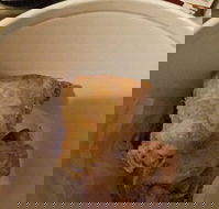 KFC - Accommodation in Brisbane