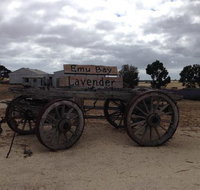Emu Bay Lavender - Accommodation in Brisbane