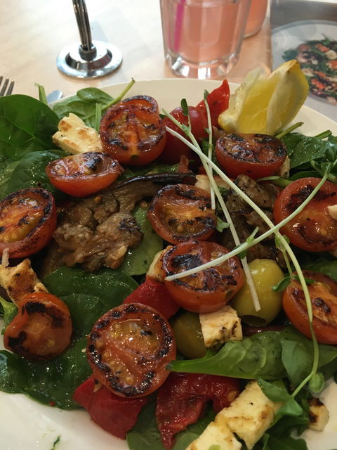 Shingle Inn - Accommodation in Brisbane 1