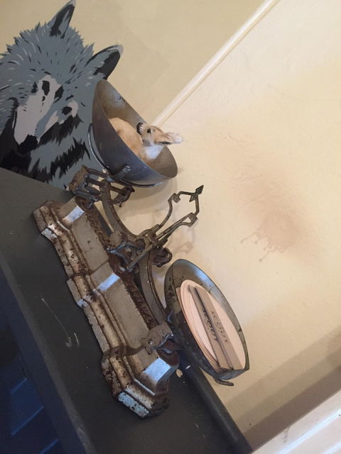 Scout Cafe - Accommodation in Brisbane 2