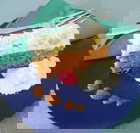 Willie Wagtails Nest