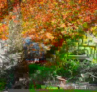 The Woods Ravensbourne - Accommodation in Brisbane