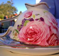 Woodlands of Marburg