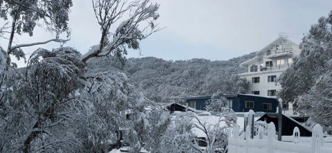 Attunga Alpine Lodge - Accommodation in Brisbane 0