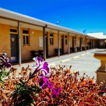 MAS Country Club Motor Inn - Accommodation in Brisbane 1