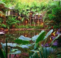 Daintree Eco Lodge  Spa - Accommodation in Brisbane