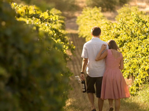 Novotel Barossa Valley Resort - Accommodation in Brisbane 1