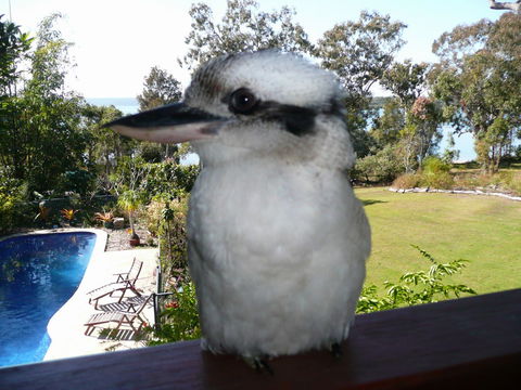 Yarrandabbi Dreaming Boutique B&B - Accommodation in Brisbane 2