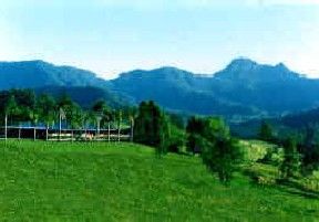 Hillcrest Mountain View Retreat - Accommodation in Brisbane 2