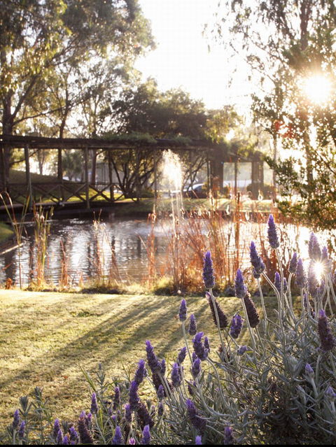 Hunter Valley Resort - Accommodation in Brisbane 0