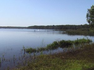 Cabarita Lake Apartments - Accommodation in Brisbane 2