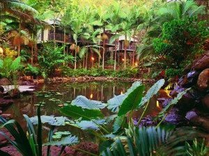 Daintree Eco Lodge & Spa - Accommodation in Brisbane 0