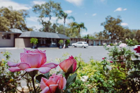 Artesian Spa Motor Inn - Accommodation in Brisbane 2