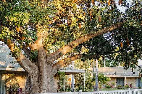 Kimberley Grande Resort & Conf Ctr - Accommodation in Brisbane 0