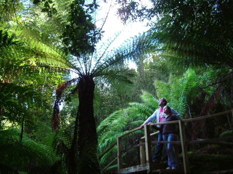 Huon Bush Retreats - Accommodation in Brisbane 1