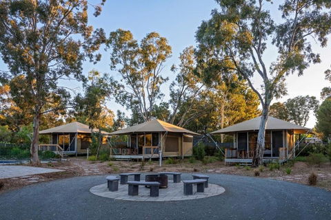 Discovery Parks Barossa Valley - Accommodation in Brisbane 0
