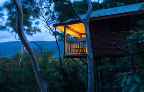 Thala Beach Nature Reserve - Accommodation in Brisbane 0