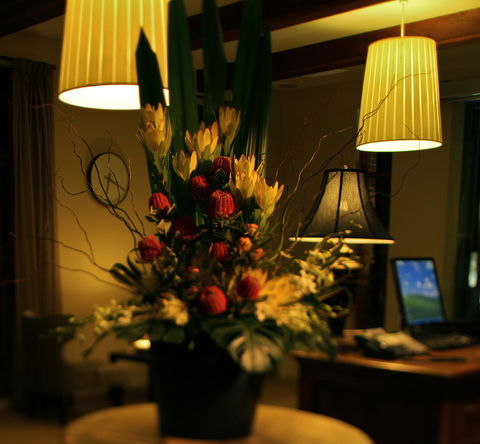 De Russie Boutique Hotel - Accommodation in Brisbane 26