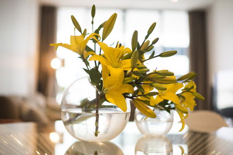 KUI - Manhattan Apartments - Accommodation in Brisbane 0