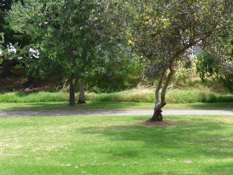 Victor Harbor Holiday Park - Accommodation in Brisbane 24
