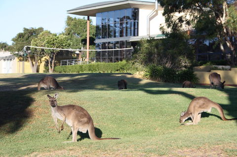 BreakFree Wirrina Cove - Accommodation in Brisbane 28