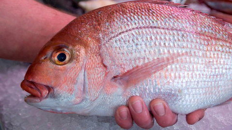 Mollymook Beach Waterfront - Accommodation in Brisbane 16