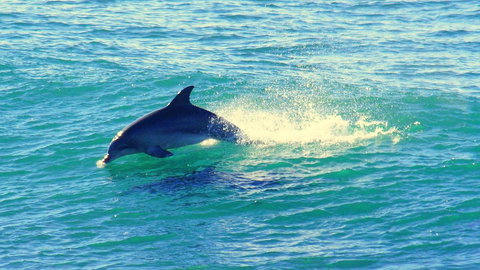 Mollymook Beach Waterfront - Accommodation in Brisbane 22