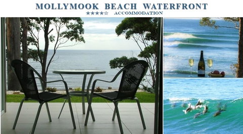 Mollymook Beach Waterfront - Accommodation in Brisbane 1