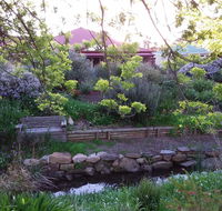 Frog Song at Willunga - Accommodation in Brisbane