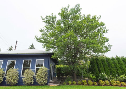 S T U D I O 22 Peaceful Retreat With Garden Views - Accommodation in Brisbane 11