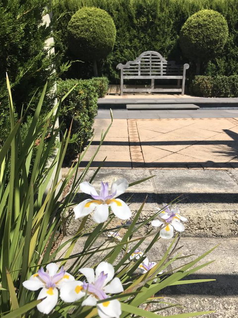 S T U D I O 22 Peaceful Retreat With Garden Views - Accommodation in Brisbane 13