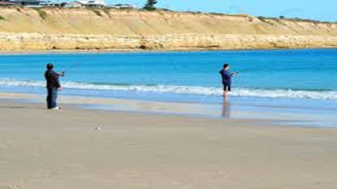 Eastern Breeze - Accommodation in Brisbane 36