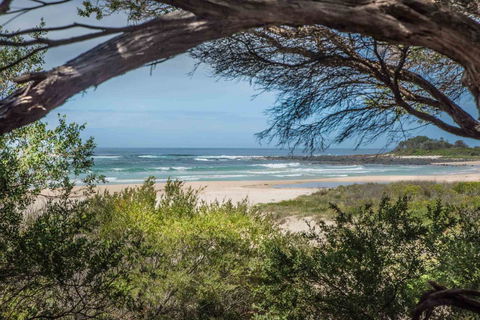 BIG4 Tasman Holiday Parks - Racecourse Beach - Accommodation in Brisbane 7
