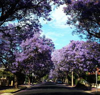 Monaco Court Apartment Adelaide - Accommodation in Brisbane