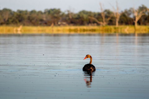 Discovery Parks - Lake Bonney - Accommodation in Brisbane 36