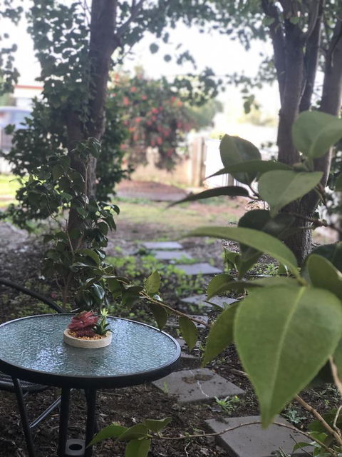 Olive\'s Cottage - Accommodation in Brisbane 2