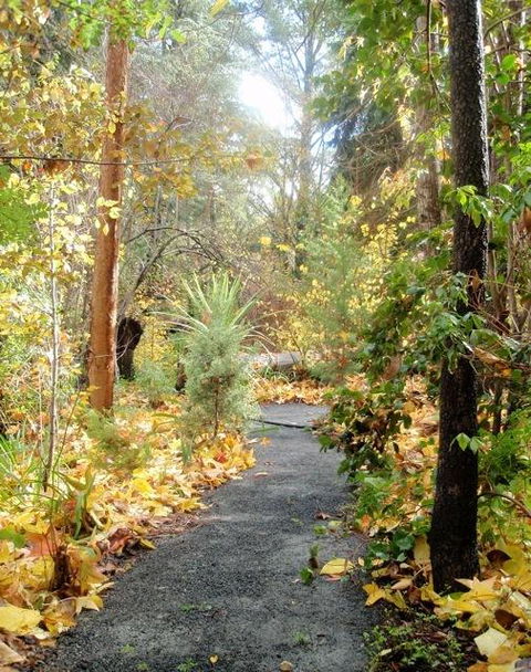 Aldgate Valley Bed And Breakfast - Accommodation in Brisbane 43