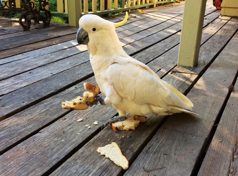 Aldgate Valley Bed And Breakfast - Accommodation in Brisbane 40