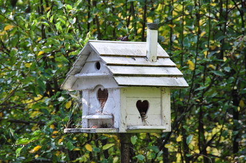 Aldgate Valley Bed And Breakfast - Accommodation in Brisbane 37