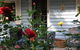 Aldgate Valley Bed And Breakfast - thumb 31